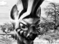 mwangaze_koroho_by_friendshipocalypse-d4zv452.jpg